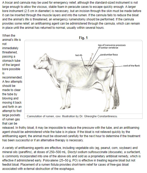 Clinical Approach to Treatment of GIT Disorders